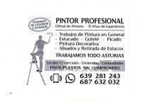 Pintor profesional