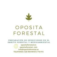 Oposiciones ingeniero forestal. Aragon