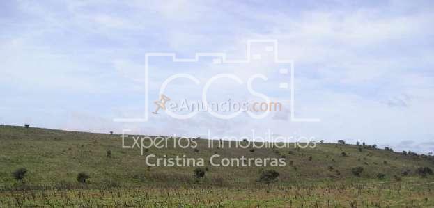 Venta de Finca de 1.587 ha en Cabezas Rubias (Huelva)