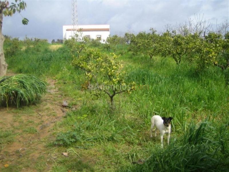 Casa Rural en venta en  Olivares