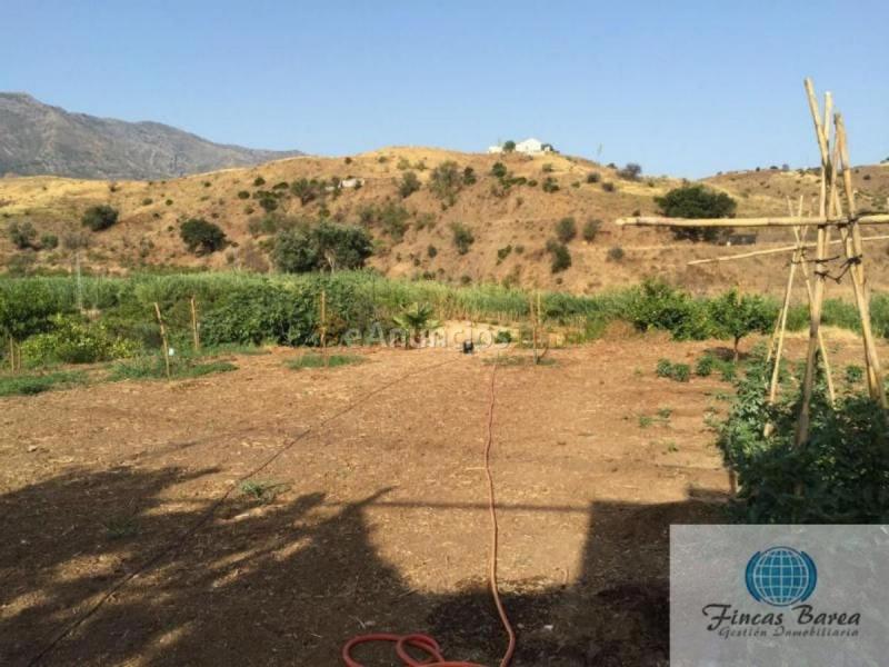 Parcela Rustica en venta en  Mijas Golf, Mijas
