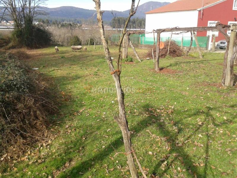 Casa Rural en venta en  Padron