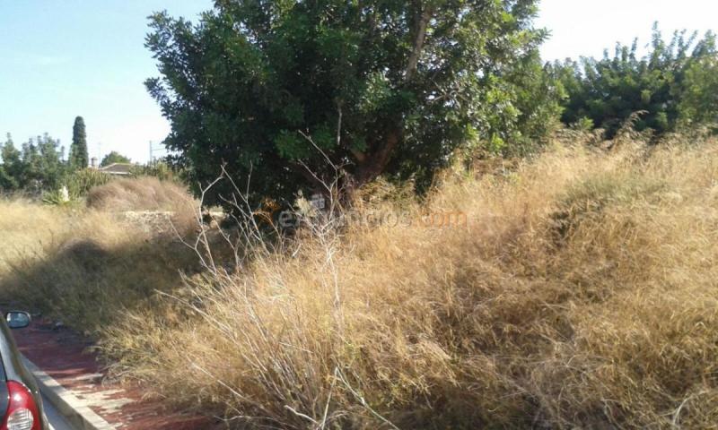 Parcela Rustica en venta en  San Antonio de Benagéber