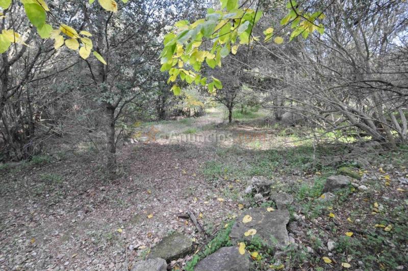 Casa Rural en venta en  Pobla (Sa)