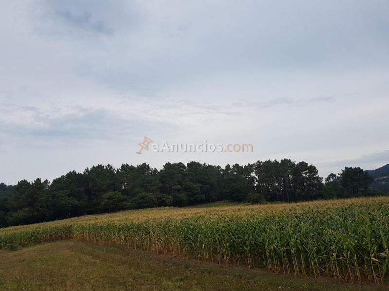 Adosado en venta en  SOCASTRO, Rois