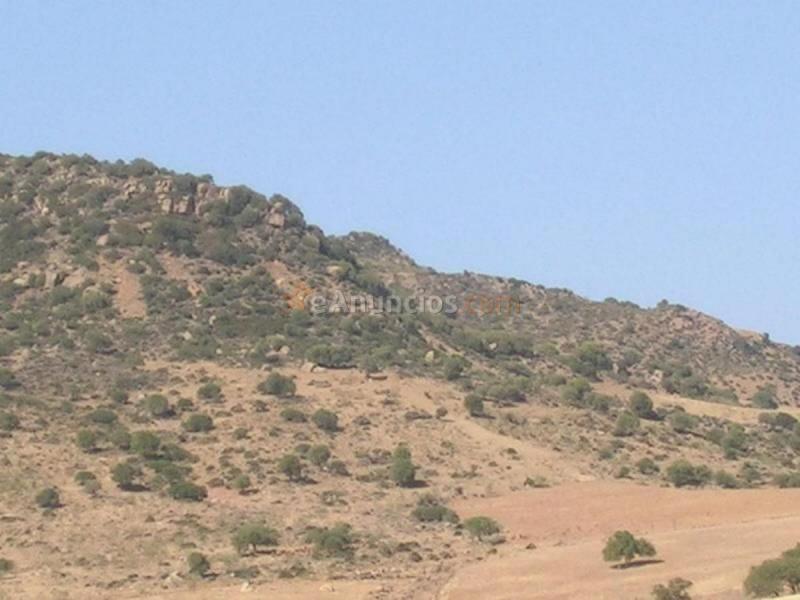 Parcela Rustica en venta en  PAGO LA FISCALIA, Alora