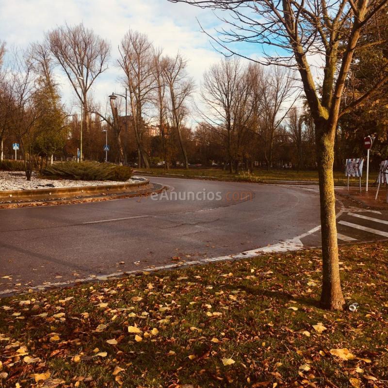 Parcela Rustica en venta en Paseo de la quinta, Zona sur - B Cortes, Burgos