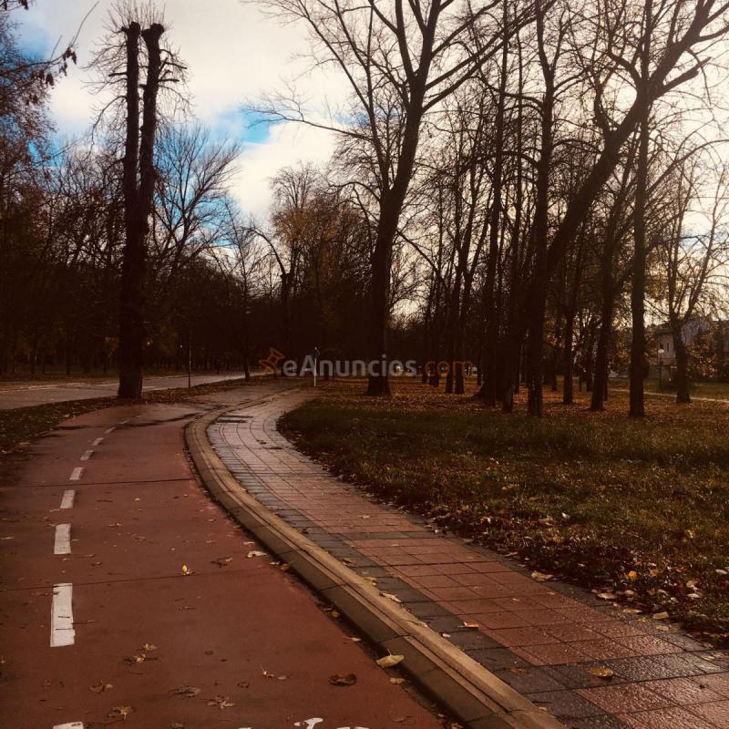 Parcela Rustica en venta en Paseo de la quinta, Zona sur - B Cortes, Burgos