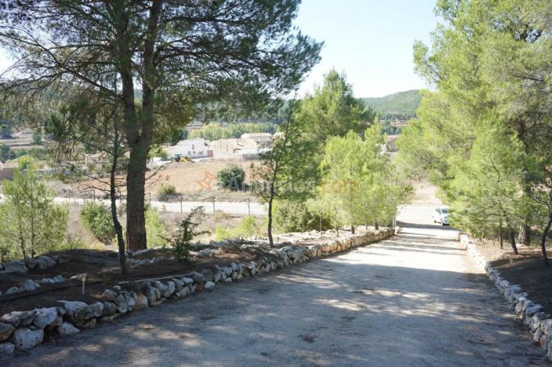 Casa Rural en venta en Carretera Penen, Requena