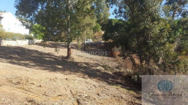 Parcela Rustica en venta en  La Cala Golf - Lagar Martell, Mijas