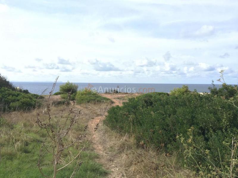 Parcela Rustica en venta en  Cala Pi-Vallgornera, Llucmajor