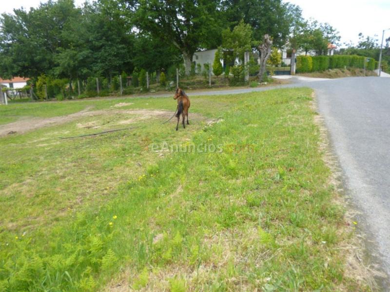 Parcela Rustica en venta en  Vedra