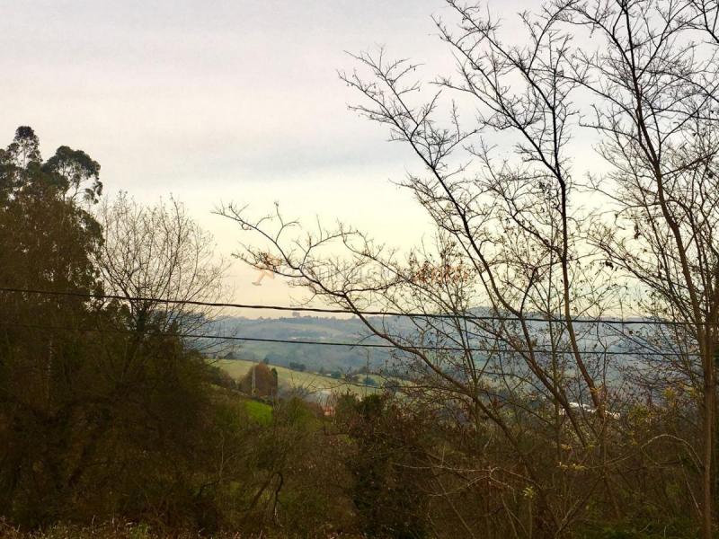 Adosado en venta en  Periurbano, Gijón