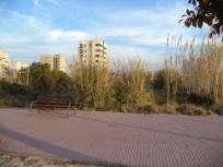 Parcela Rustica en venta en  Piles