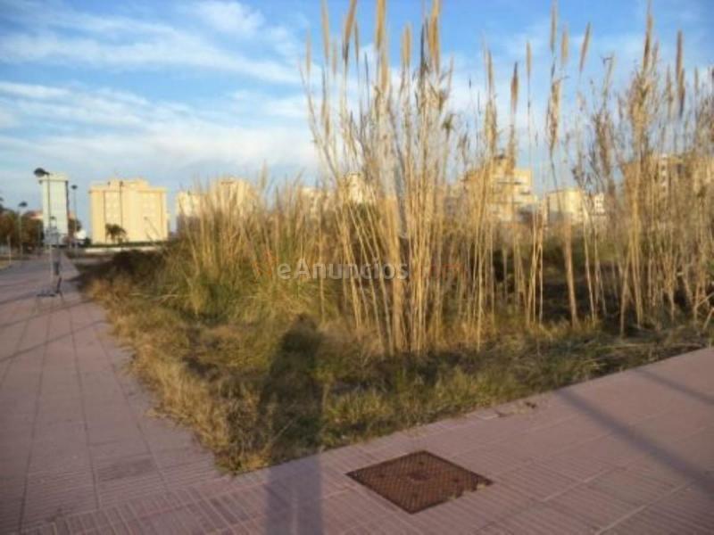 Parcela Rustica en venta en  Piles