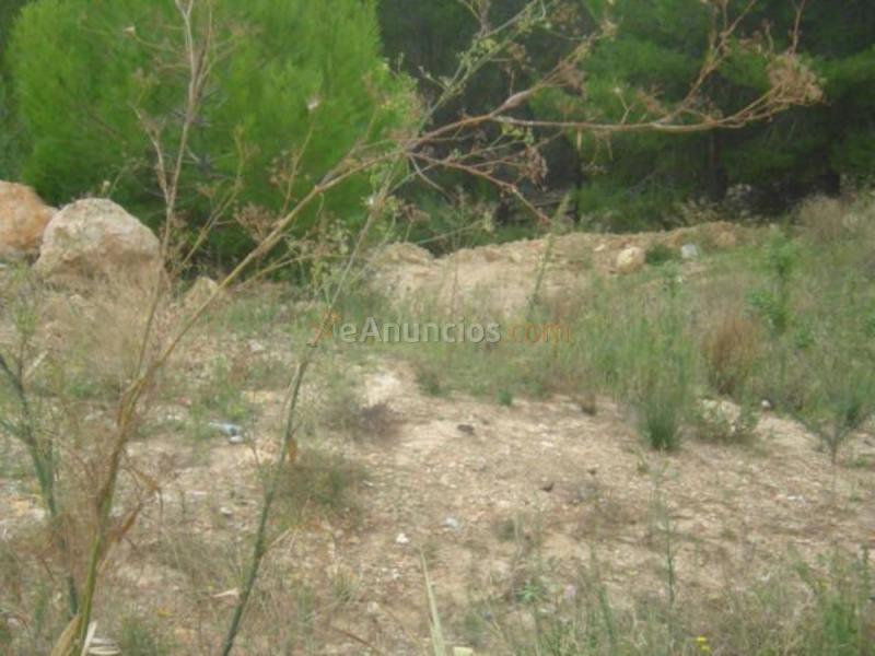 Parcela Rustica en venta en  Oltamar-Cucarres, Calpe