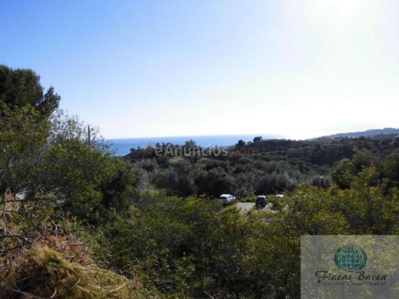 Parcela Rustica en venta en  Chilches