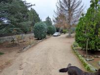 Parcela Rustica en venta en Alameda Guadarrama