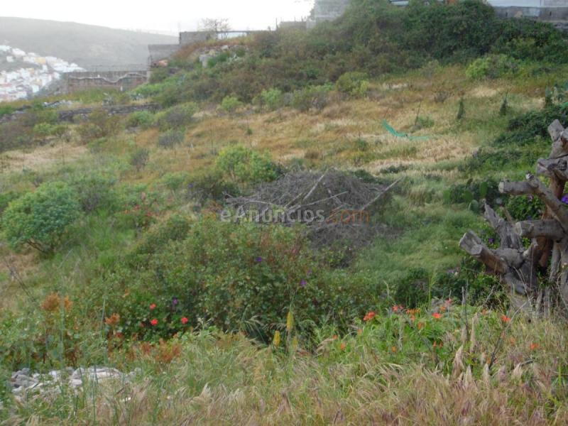 Parcela Rustica en venta en  El Pedregal, Arucas Casco, Arucas