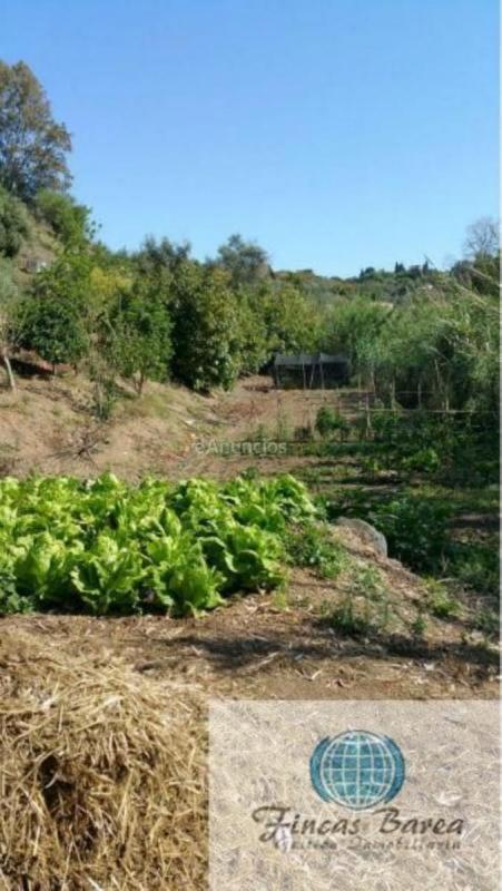Parcela Rustica en venta en  diseminado atalaya, Mijas Golf, Mijas