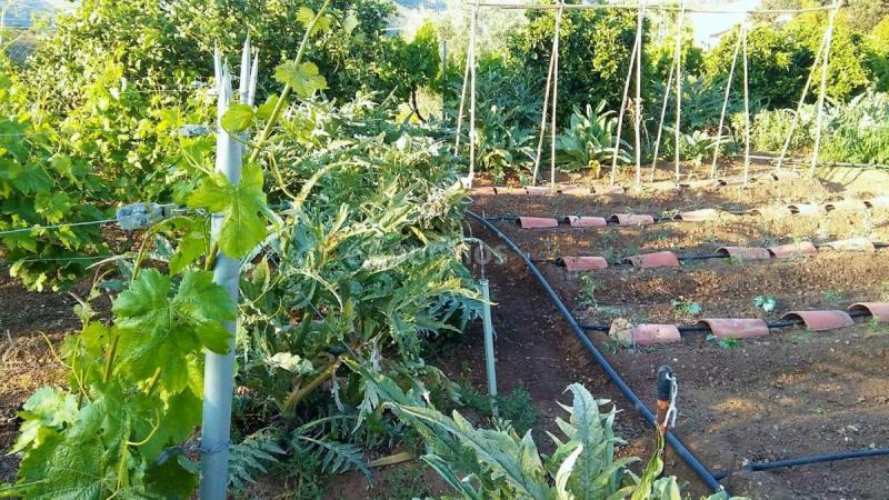 Casa Rural en venta en  Diseminado Poligono 8, Alora