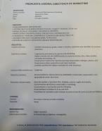 Directora de marketing