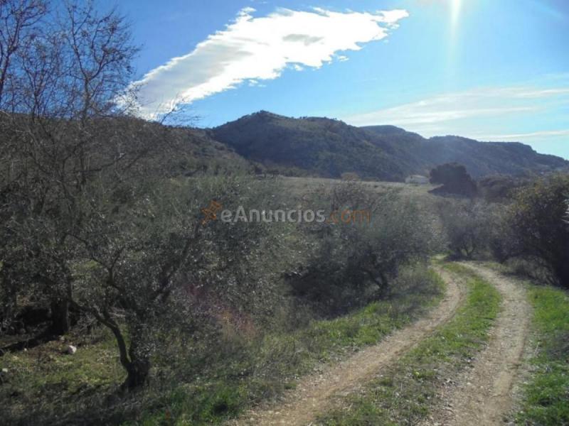Casa Rural en venta en  Camino Algarrobo - Las Arenas, Vélez-Malaga