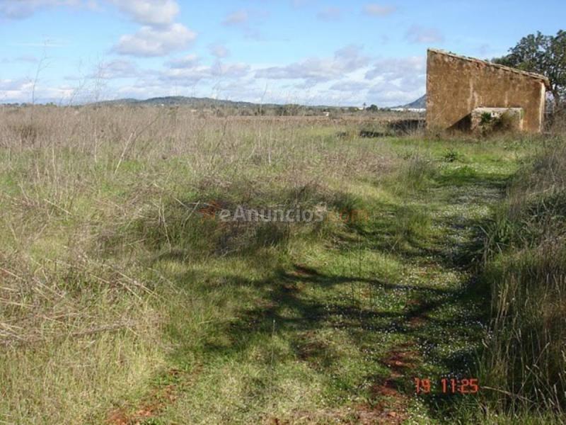 Casa Rural en venta en  Llucmajor Interior, Llucmajor