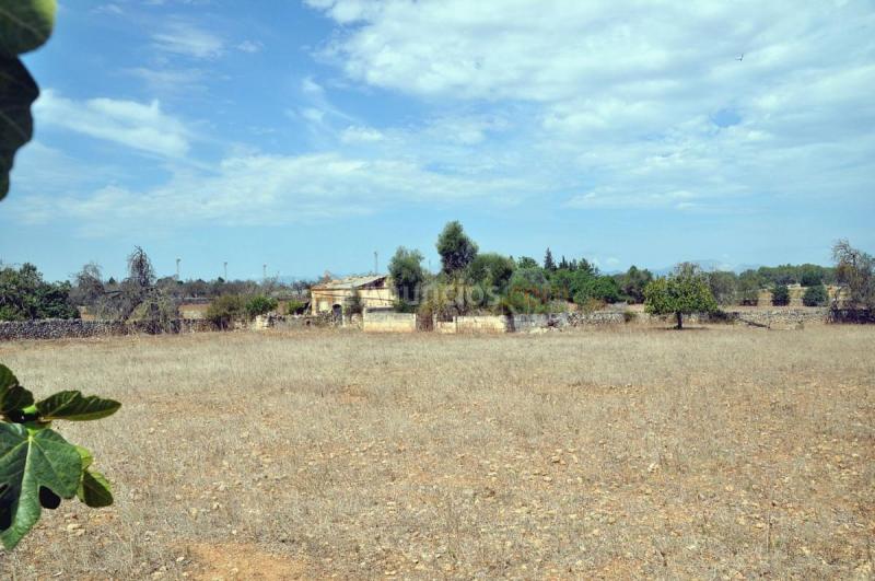 Casa Rural en venta en  Santa Margalida, Santa Margalida