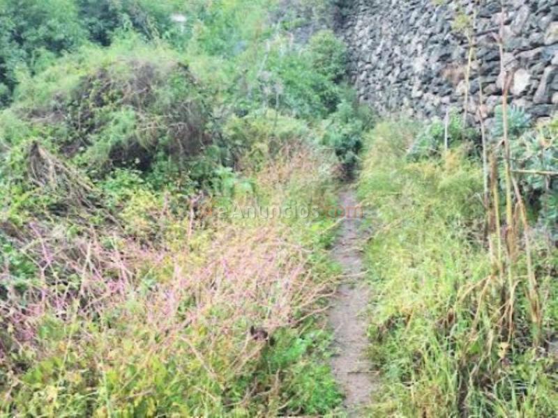 Parcela Rustica en venta en Carretera la Angostura, Monte Lentiscal-Las Meleguinas, Santa Brigida