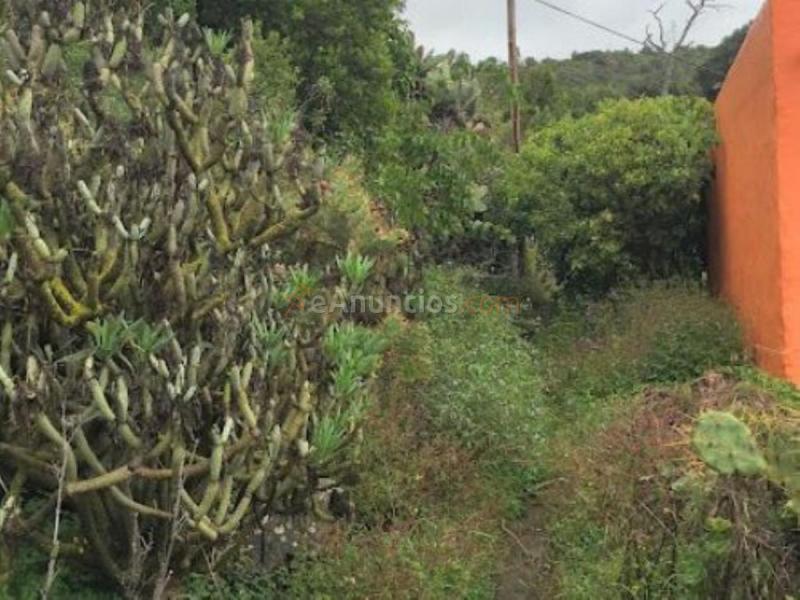 Parcela Rustica en venta en Carretera la Angostura, Monte Lentiscal-Las Meleguinas, Santa Brigida