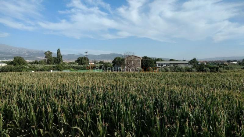 Casa Rural en venta en Camino de Ambroz, Ronda - Arabial, Granada