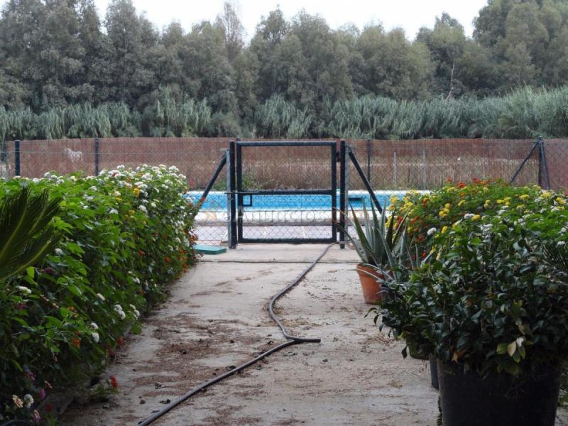 Casa Rural en venta en  37.351853, -6.991682, Gibraleon