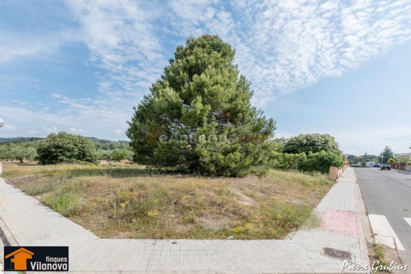 Parcela Rustica en venta en  GLORIETA, Almoster