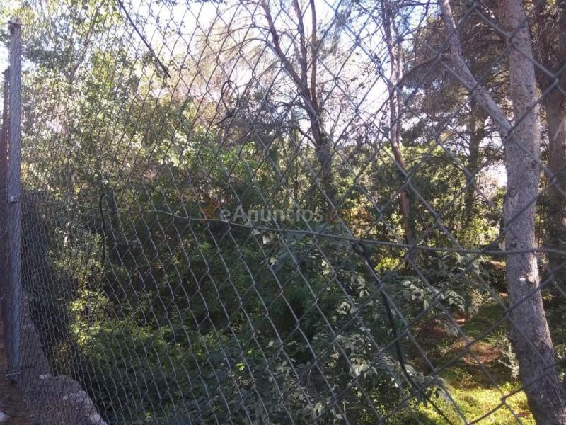 Parcela Rustica en venta en Calle Santa Bárbara, Rocafort