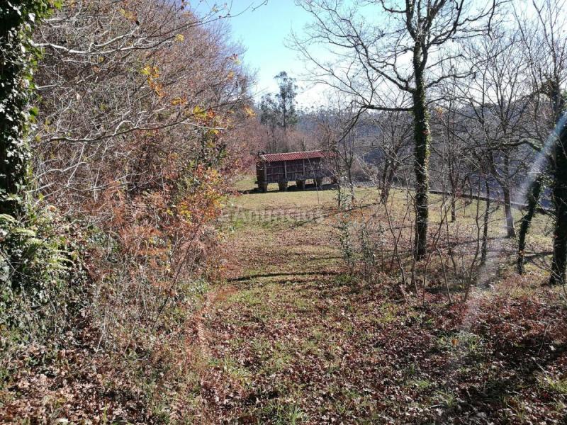 Casa Rural en venta en  Busto, A Baña