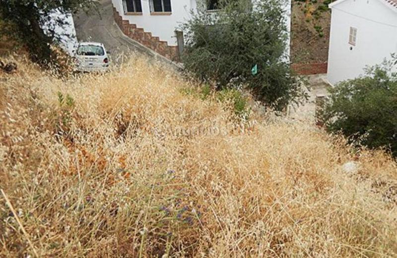 Parcela Rustica en venta en  OLIVO, Almáchar