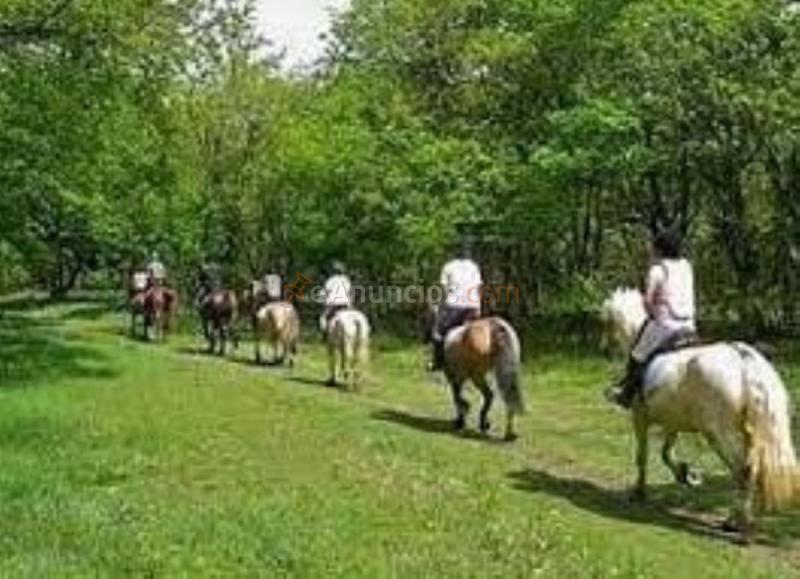 Parcela Rustica en venta en  Colonia las Margaritas, Riaza