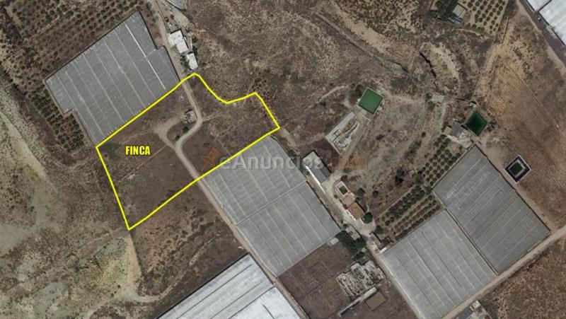 Suelo rústico en Venta en Viso, El Almería