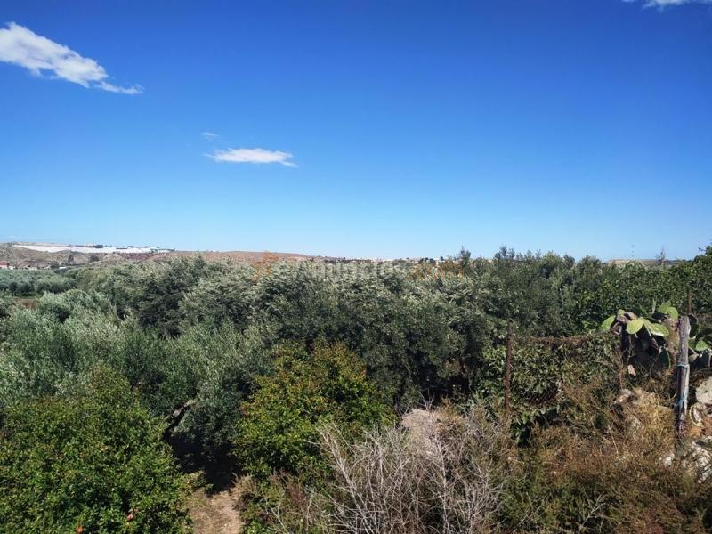 Suelo rústico en Venta en Huercal De Almeria Almería