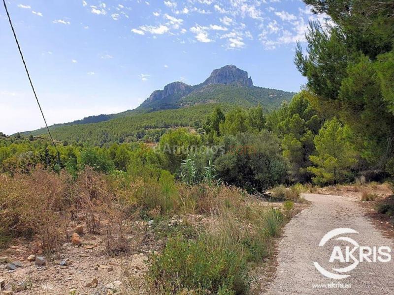 Parcela rústica, oportunidad en Benissa