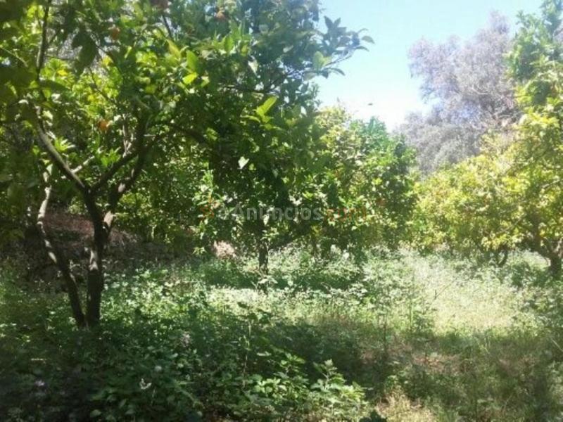 Casa Rústica en venta en Albuñuelas de 68 m2