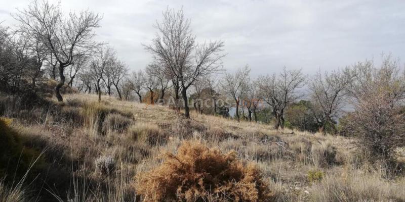 Terreno en venta en Nigüelas de 32720 m2