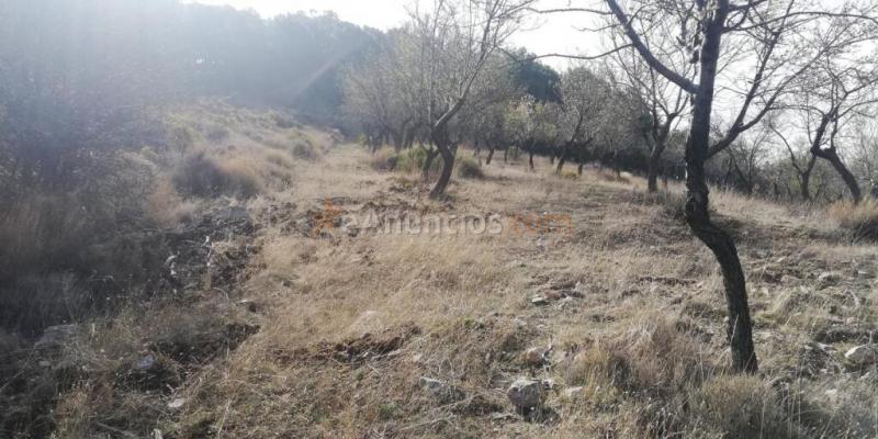 Terreno en venta en Nigüelas de 32720 m2