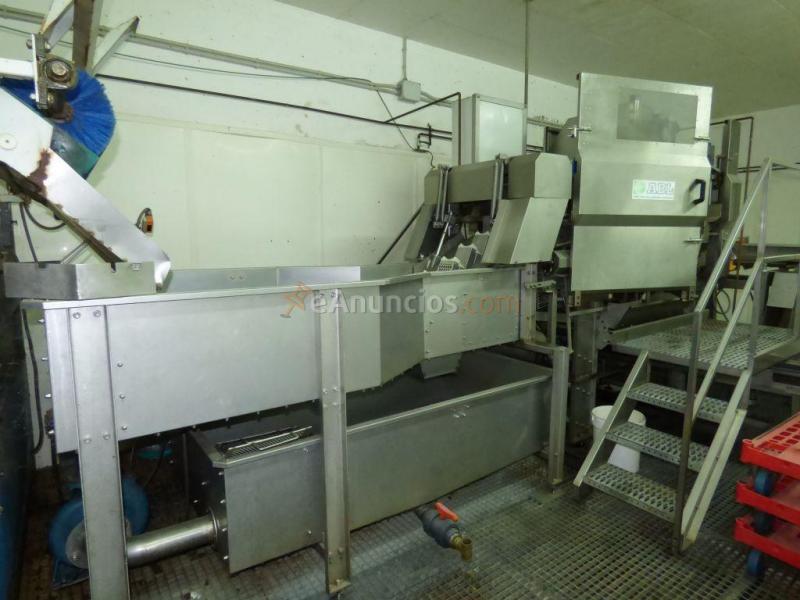 NAVE INDUSTRIAL EN ALQUILER DE 3750M2 EN PALA DE TORRUELLA