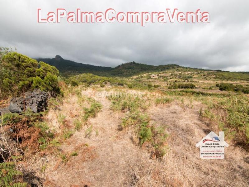 Solar residencial en Venta en Villa De Mazo Santa Cruz de Tenerife