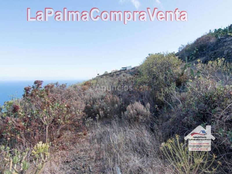 Suelo rústico en Venta en Villa De Mazo Santa Cruz de Tenerife