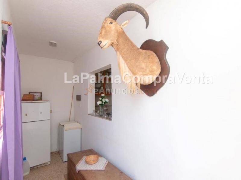 Suelo rústico en Venta en Roque Faro Santa Cruz de Tenerife