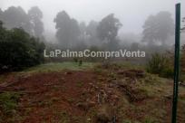 Suelo rústico en Venta en Roque Faro Santa Cruz de Tenerife