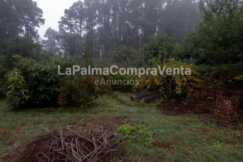 Suelo rústico en Venta en Roque Faro Santa Cruz de Tenerife